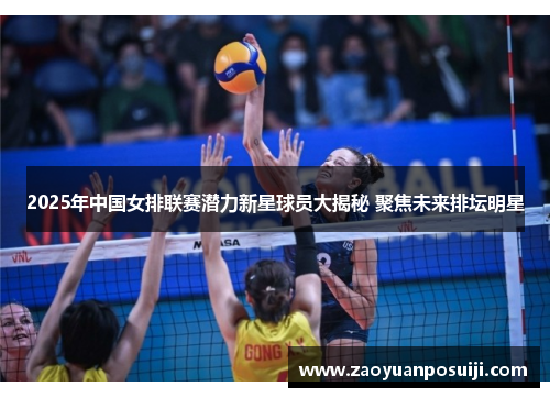 2025年中国女排联赛潜力新星球员大揭秘 聚焦未来排坛明星